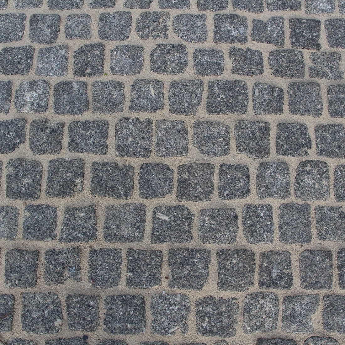 Kinderkoppen