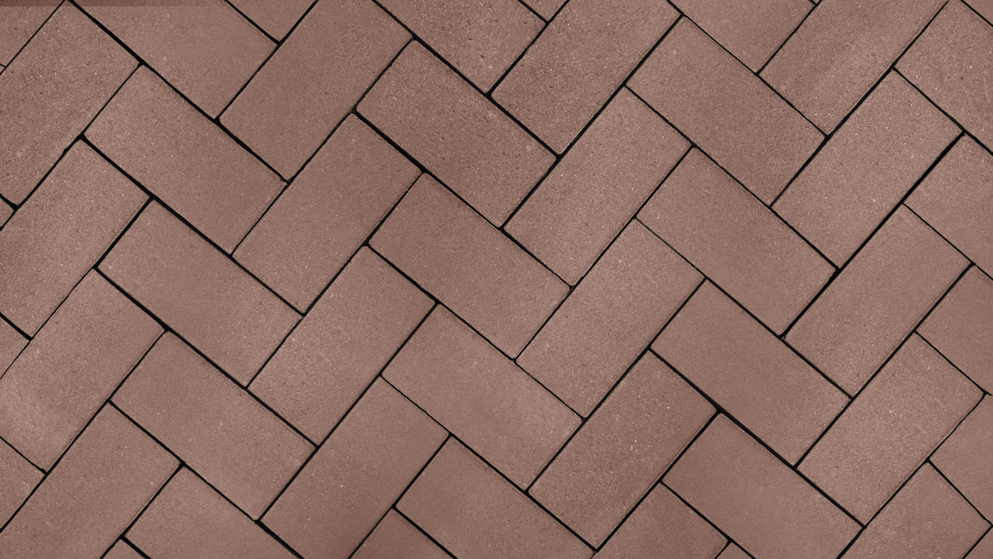 Beton bisschopsmuts 30x21x8cm granudek donkerpaars